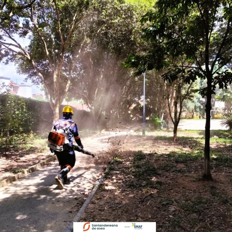 Barrido de espacios públicos para el disfrute de la comunidad