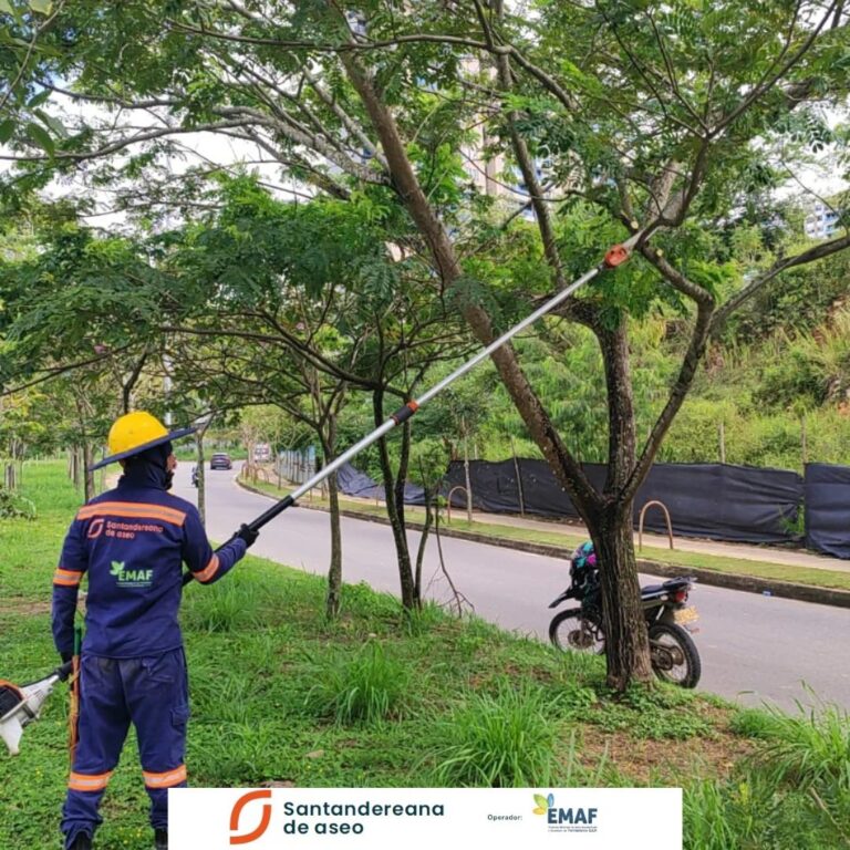 Prestación del servicio de la cuadrilla de podas