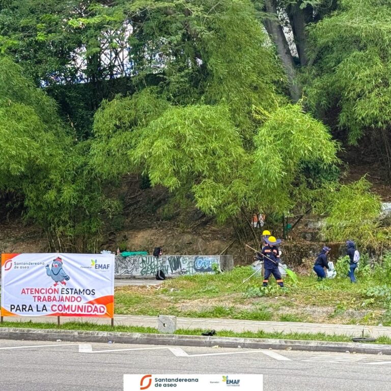 Limpieza de zonas verdes en el sector de papi quiero piña.
